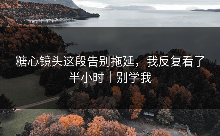 糖心镜头这段告别拖延，我反复看了半小时｜别学我