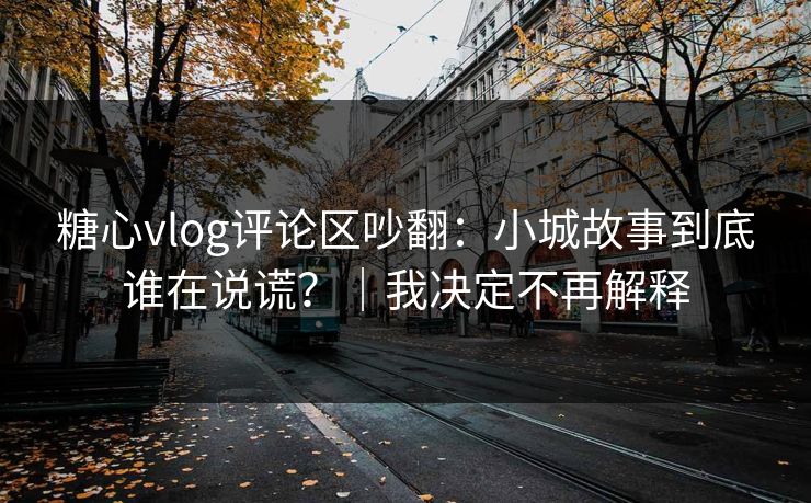 糖心vlog评论区吵翻：小城故事到底谁在说谎？｜我决定不再解释