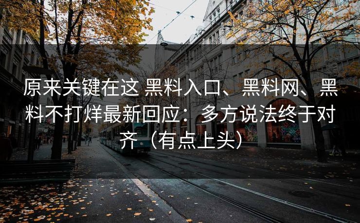 原来关键在这 黑料入口、黑料网、黑料不打烊最新回应：多方说法终于对齐（有点上头）